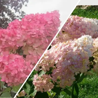 Комплект МНОГОГРАННОСТЬ в Слониме