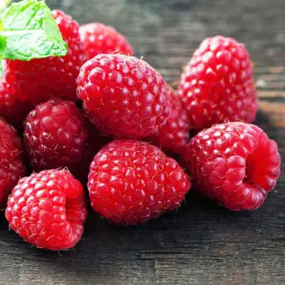 Малина ЭРИКА в Слониме