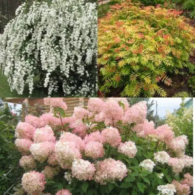 Комплект ФЕЙЕРВЕРК ЛЕТА в Слониме