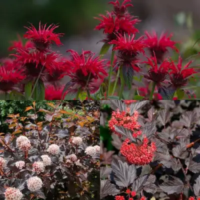 Комплект ОГНЕННЫЙ МИКС в Слониме