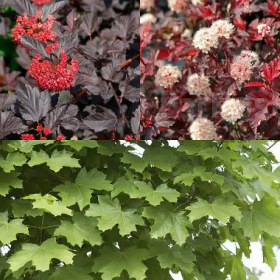 Комплект ОСЕННИЙ КОСТЕР в Слониме