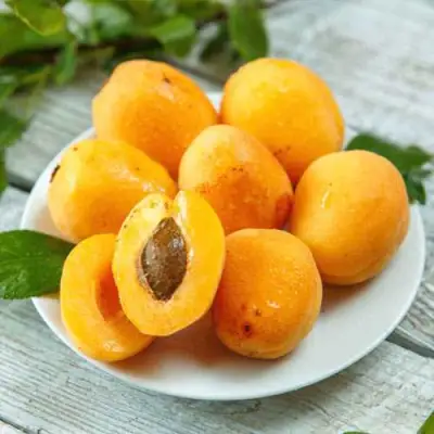 Абрикос АНАНАСНЫЙ в Слониме