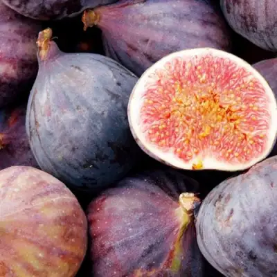 Инжир МУАССОН в Слониме