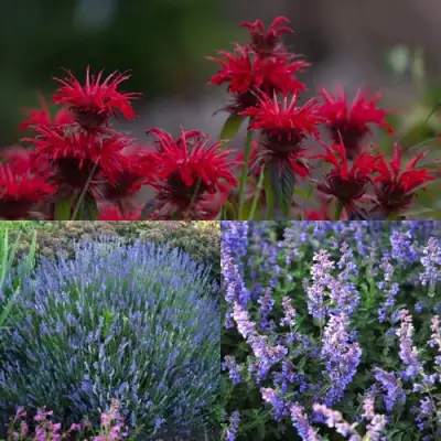 Комплект АРОМАТНЫЙ ЧАЙ в Слониме