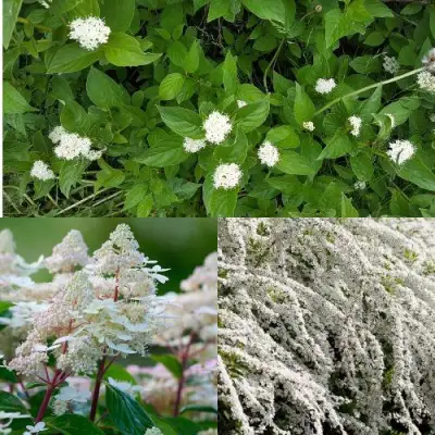 Комплект СКАНДИНАВСКИЙ СТИЛЬ в Слониме