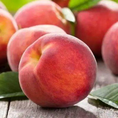 Персик МАЙСКИЙ ЦВЕТОК в Слониме