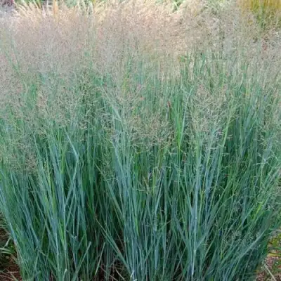 Просо ХЭВИ МЕТАЛЛ в Слониме