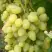 Виноград ЗАРНИЦА в Слониме