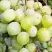 Виноград КЕША МУСКАТ в Слониме
