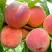 Персик ВАЙН ГОЛД Т3 в Слониме