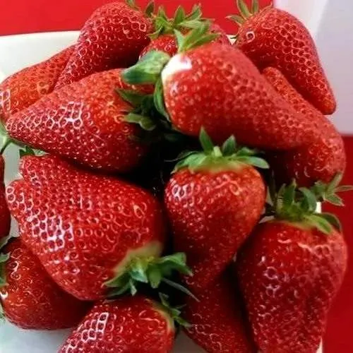 Клубника БРИЛЛА  Клубника БРИЛЛА в Слониме