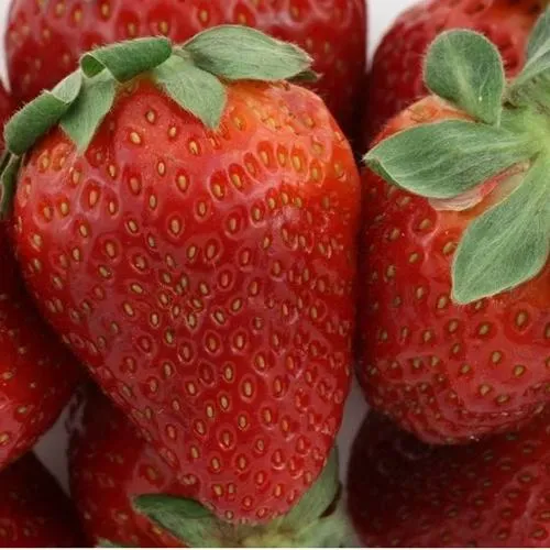 Клубника ФЛАМИНИЯ  Клубника ФЛАМИНИЯ в Слониме