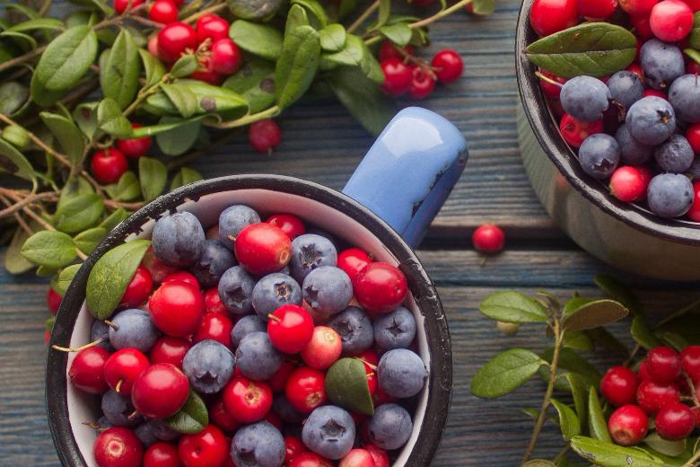 Свежие саженцы популярных ягод уже в продаже! Создайте собственный витаминный сад и наслаждайтесь урожаем долгие годы.