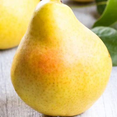 Желтая в Слониме