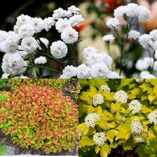 Комплект СОЛНЕЧНЫЙ МИКС в Слониме