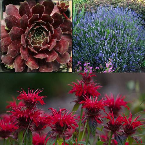 Комплект ФИОЛЕТОВОЕ ВДОХНОВЕНИЕ в Слониме