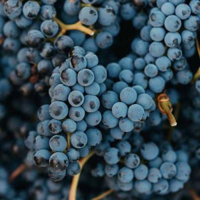 Технический в Слониме