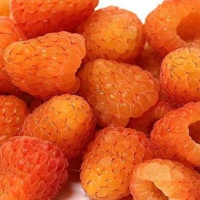 Оранжевая в Слониме