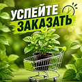 УСПЕЙТЕ ЗАКАЗАТЬ УСПЕЙТЕ ЗАКАЗАТЬ в Слониме