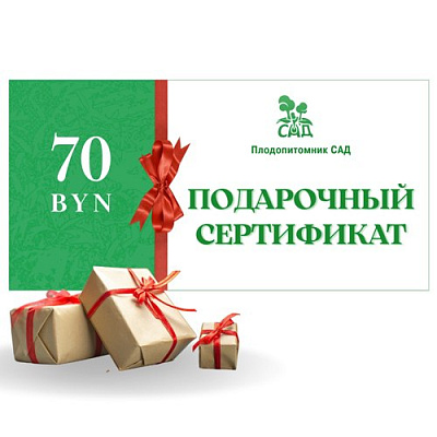 Подарочный сертификат на  70 BYN в Слониме